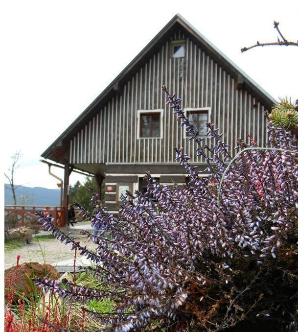 Horsky Ranc Hotel Pec pod Snezkou Exterior foto